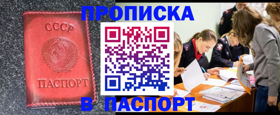 прописка для школы в Петропавловске-Камчатском